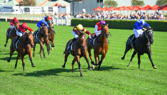 Betmakers, Sportech'In Global Tote Ve Dijital Işini 41 3 Milyon 1 betmakers, sportech'in global tote ve dijital işini 41 3 milyon